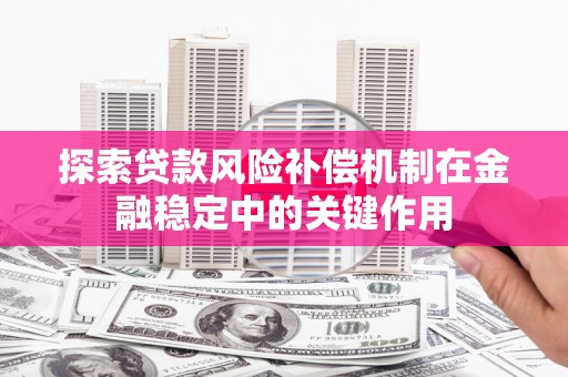 阜沙探索贷款风险补偿机制在金融稳定中的关键作用