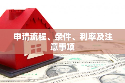 阜沙申请流程、条件、利率及注意事项