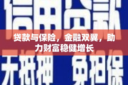 阜沙贷款与保险，金融双翼，助力财富稳健增长