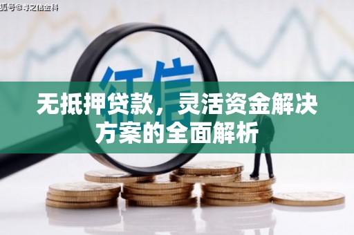 阜沙无抵押贷款，灵活资金解决方案的全面解析