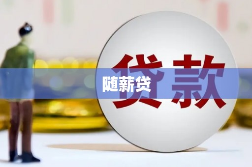 阜沙随薪贷