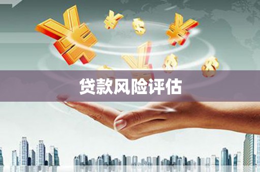 阜沙贷款风险评估