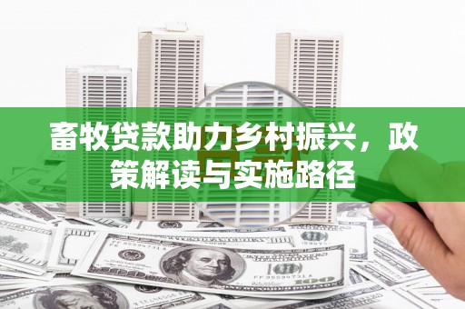阜沙畜牧贷款助力乡村振兴，政策解读与实施路径