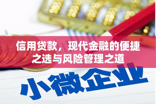阜沙信用贷款，现代金融的便捷之选与风险管理之道