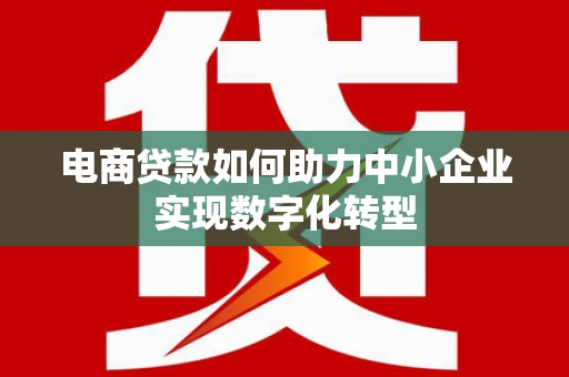 阜沙电商贷款如何助力中小企业实现数字化转型