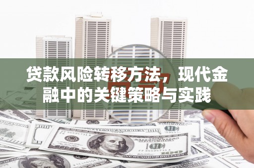 阜沙贷款风险转移方法，现代金融中的关键策略与实践
