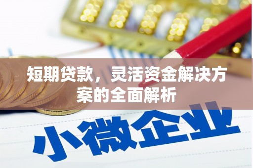 阜沙短期贷款，灵活资金解决方案的全面解析