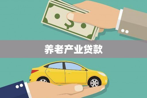 阜沙养老产业贷款