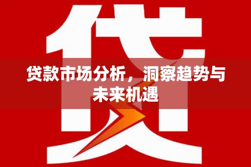 阜沙贷款市场分析，洞察趋势与未来机遇