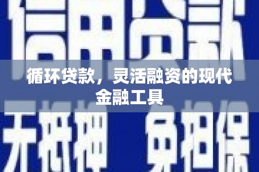 阜沙循环贷款，灵活融资的现代金融工具