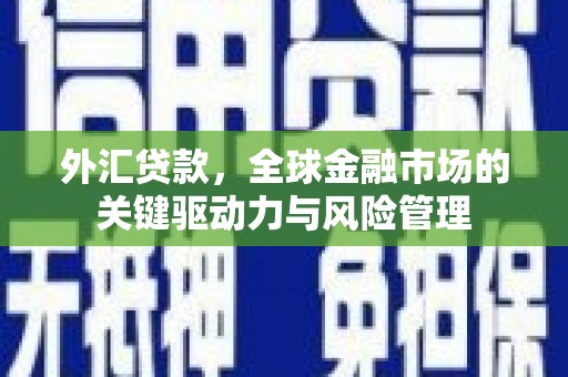 阜沙外汇贷款，全球金融市场的关键驱动力与风险管理