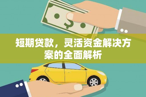 阜沙短期贷款，灵活资金解决方案的全面解析