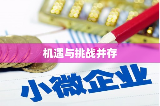 阜沙机遇与挑战并存