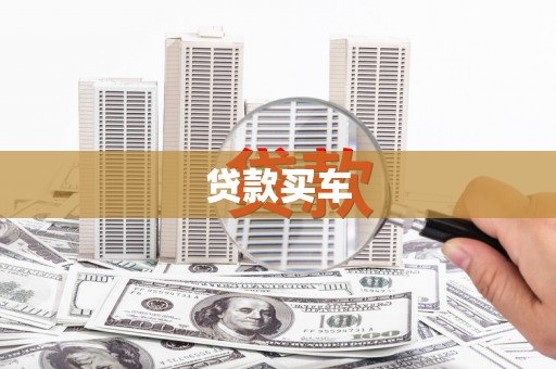 阜沙贷款买车