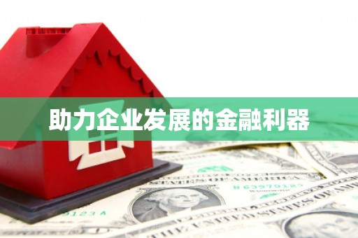 阜沙助力企业发展的金融利器