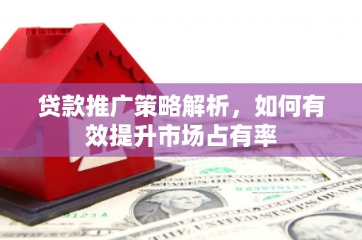 阜沙贷款推广策略解析，如何有效提升市场占有率