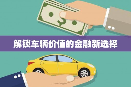 阜沙解锁车辆价值的金融新选择