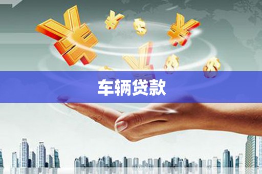 阜沙车辆贷款