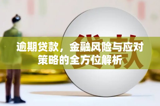 阜沙逾期贷款，金融风险与应对策略的全方位解析