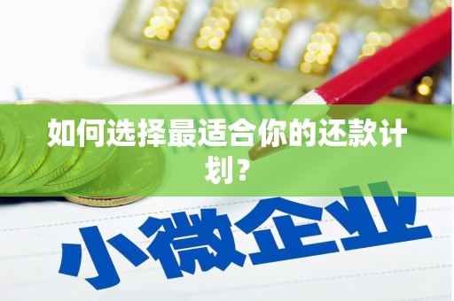 阜沙如何选择最适合你的还款计划？