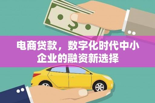 阜沙电商贷款，数字化时代中小企业的融资新选择
