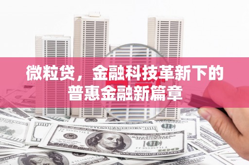阜沙微粒贷，金融科技革新下的普惠金融新篇章