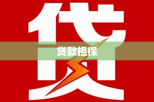 阜沙贷款担保