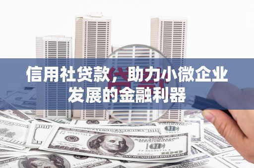 阜沙信用社贷款，助力小微企业发展的金融利器