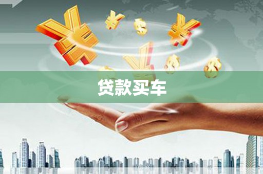 阜沙贷款买车