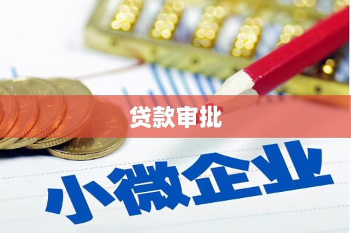 阜沙贷款审批