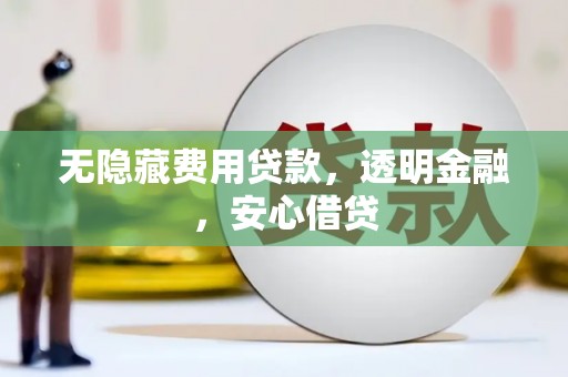 阜沙无隐藏费用贷款，透明金融，安心借贷