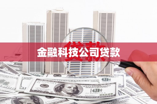 阜沙金融科技公司贷款