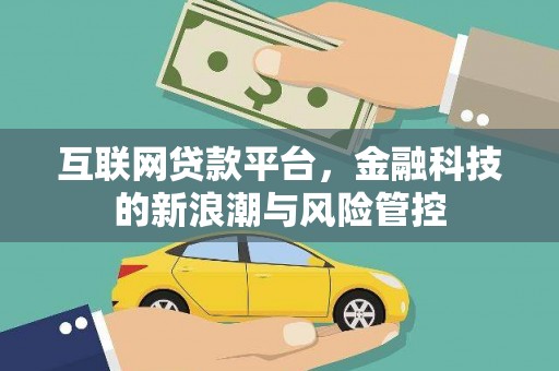 阜沙互联网贷款平台，金融科技的新浪潮与风险管控