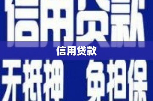 阜沙信用贷款
