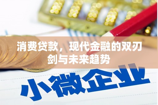 阜沙消费贷款，现代金融的双刃剑与未来趋势