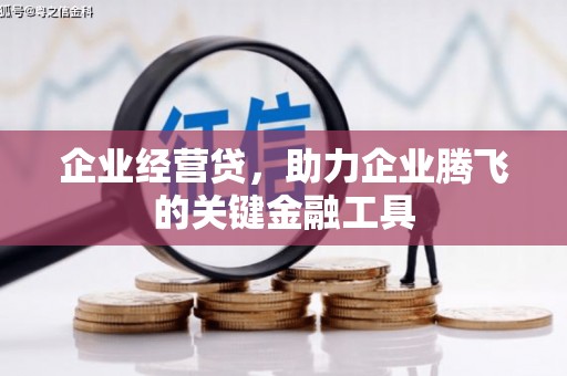 阜沙企业经营贷，助力企业腾飞的关键金融工具
