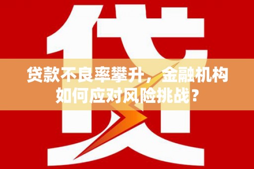 阜沙贷款不良率攀升，金融机构如何应对风险挑战？