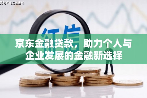 阜沙京东金融贷款，助力个人与企业发展的金融新选择