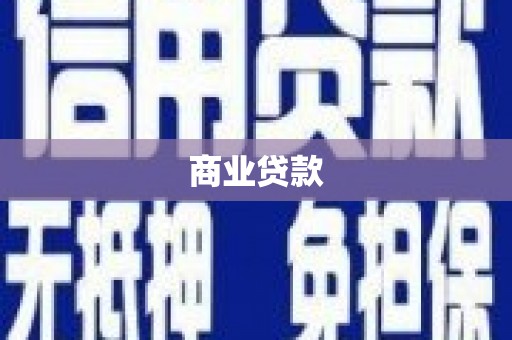 阜沙商业贷款