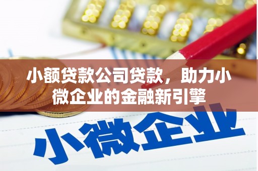 阜沙小额贷款公司贷款，助力小微企业的金融新引擎