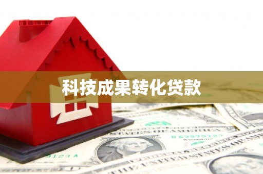 阜沙科技成果转化贷款