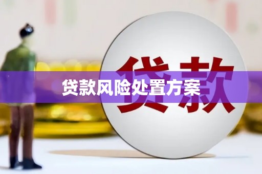 阜沙贷款风险处置方案