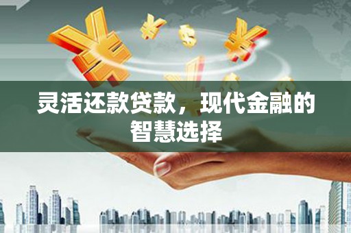阜沙灵活还款贷款，现代金融的智慧选择