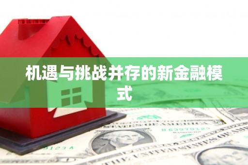 阜沙机遇与挑战并存的新金融模式