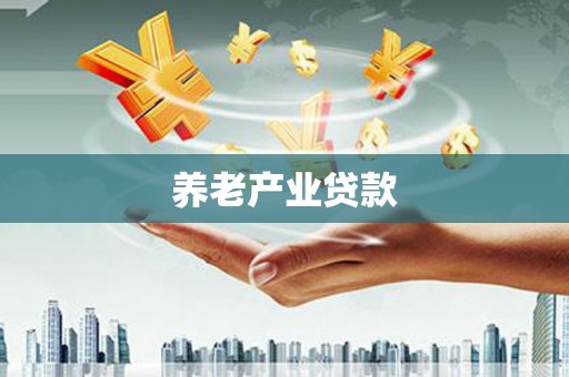 阜沙养老产业贷款