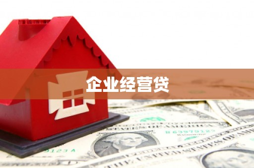 阜沙企业经营贷