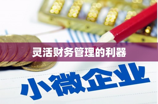 阜沙灵活财务管理的利器