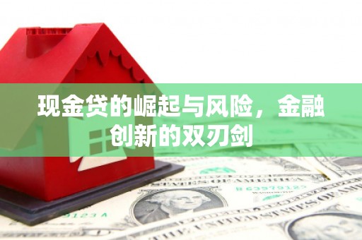 阜沙现金贷的崛起与风险，金融创新的双刃剑
