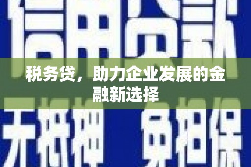 阜沙税务贷，助力企业发展的金融新选择