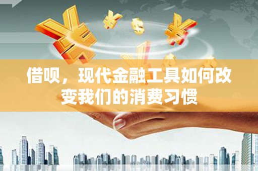 阜沙借呗，现代金融工具如何改变我们的消费习惯